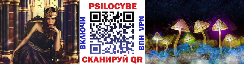Купить  Аша  Галлюциногенные грибы MAGIC MUSHROOMS 