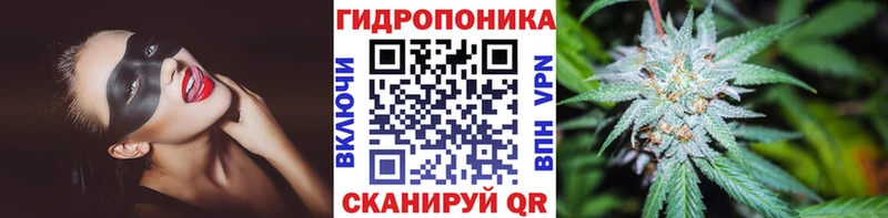 Купить закладки  Аша  Бошки Шишки тримм 